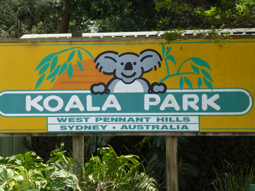 Koala Park | Mini Bear Travels